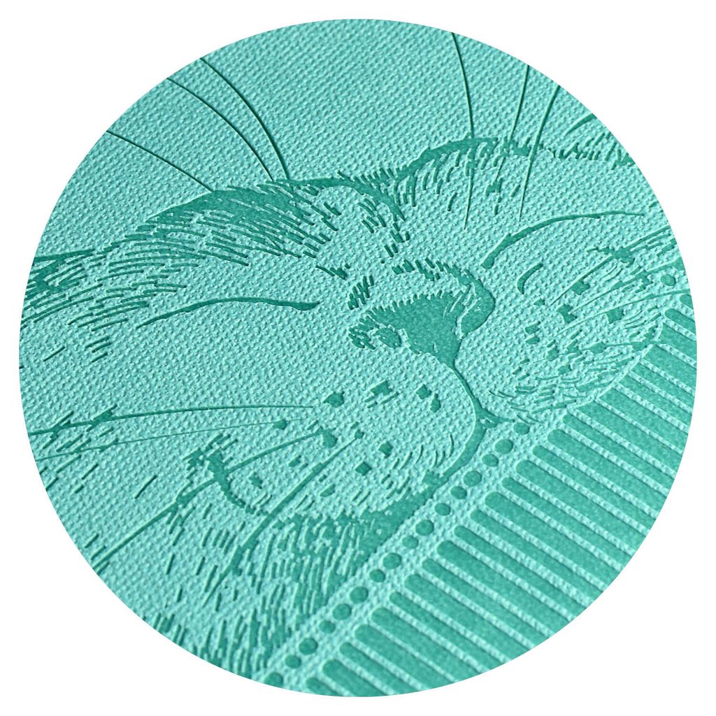 Дневник школьный арт. 58831 / 15 КОТ - Феникс+ фото 10