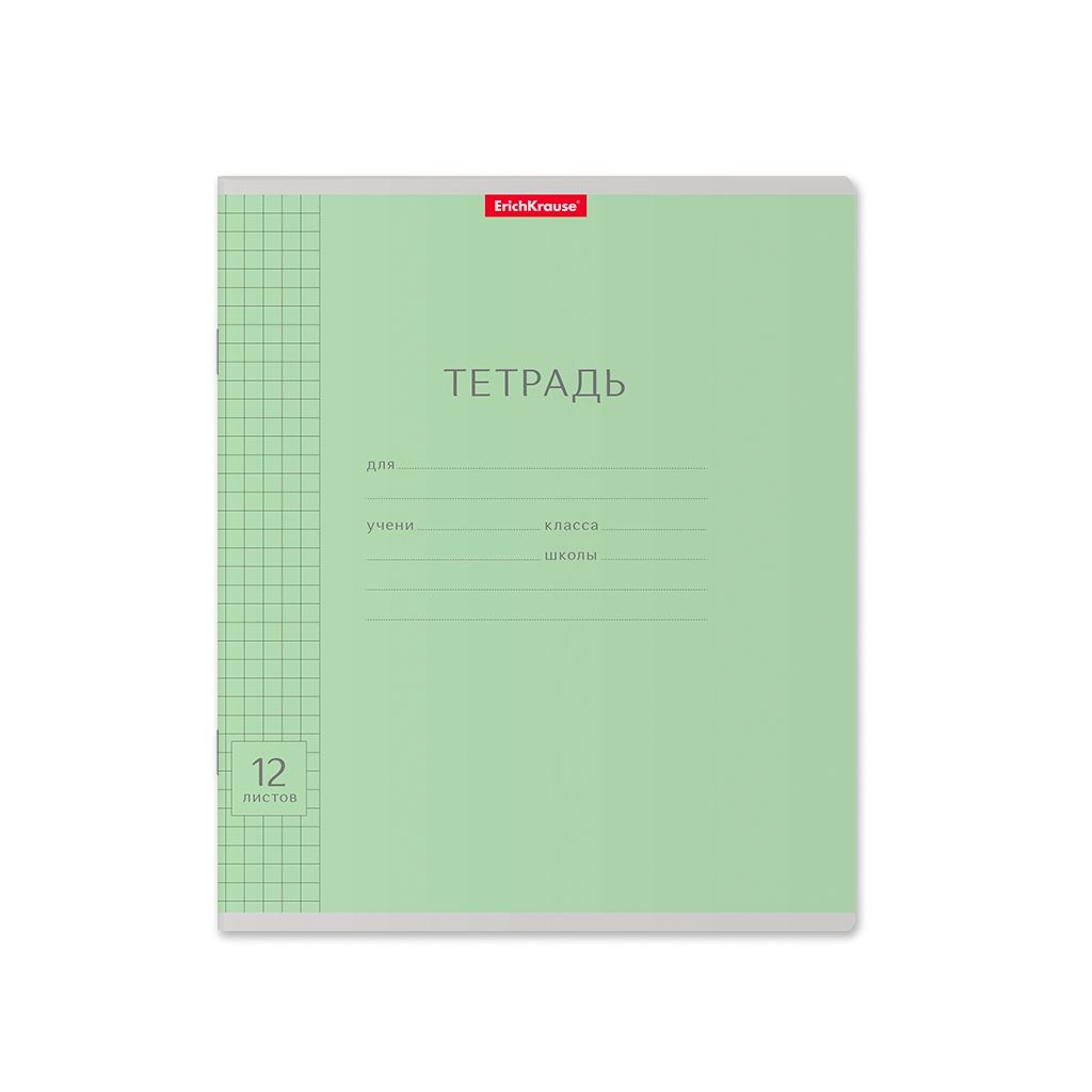 Цена за 280 шт. Тетрадь школьная ученическая ErichKrause Классика Visio зеленая, 12 листов, клетка (в плёнке по 10 шт.)  фото 51