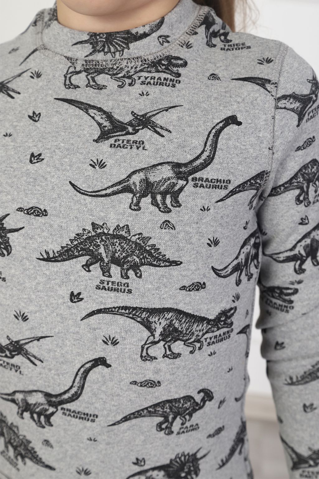 Комплект С НАЧЕСОМ "Термобелье. Динозавры" для девочек