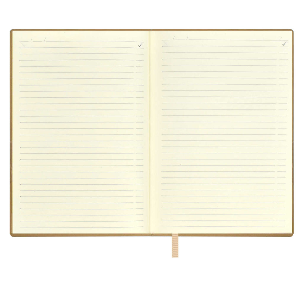 Ежедневник недатированный ESCALADA, А6+, 160 л., арт. 64220/ 20 КРОКО МЕТАЛЛИК ЗОЛОТОЙ  фото 8