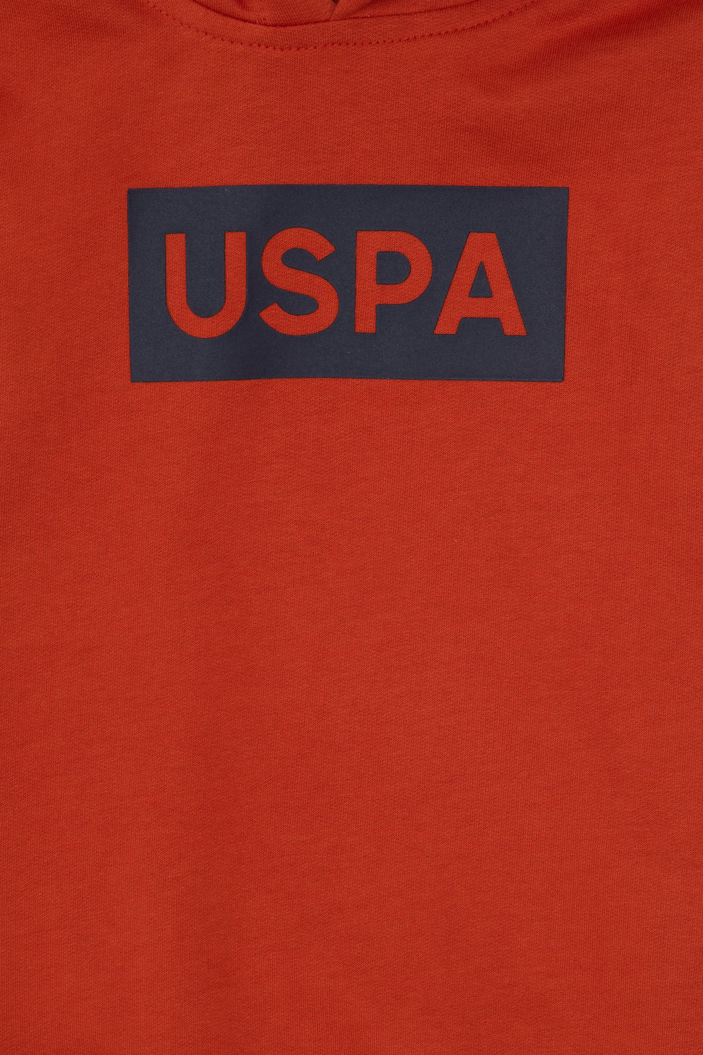 Erkek _ocuk Kiremit Basic Kap__onlu Sweatshirt - U.s. polo assn фото 3