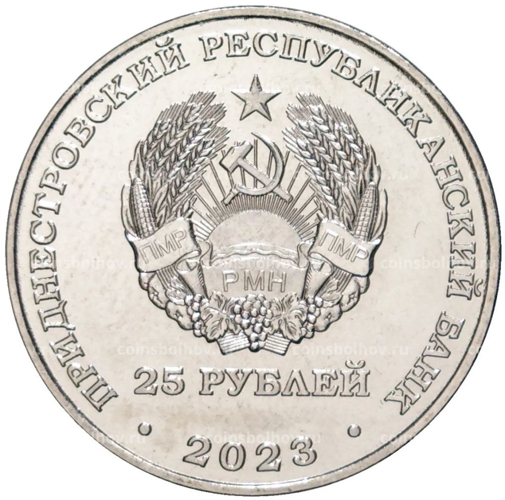 25 рублей 2023 года Приднестровье  Международный год проса