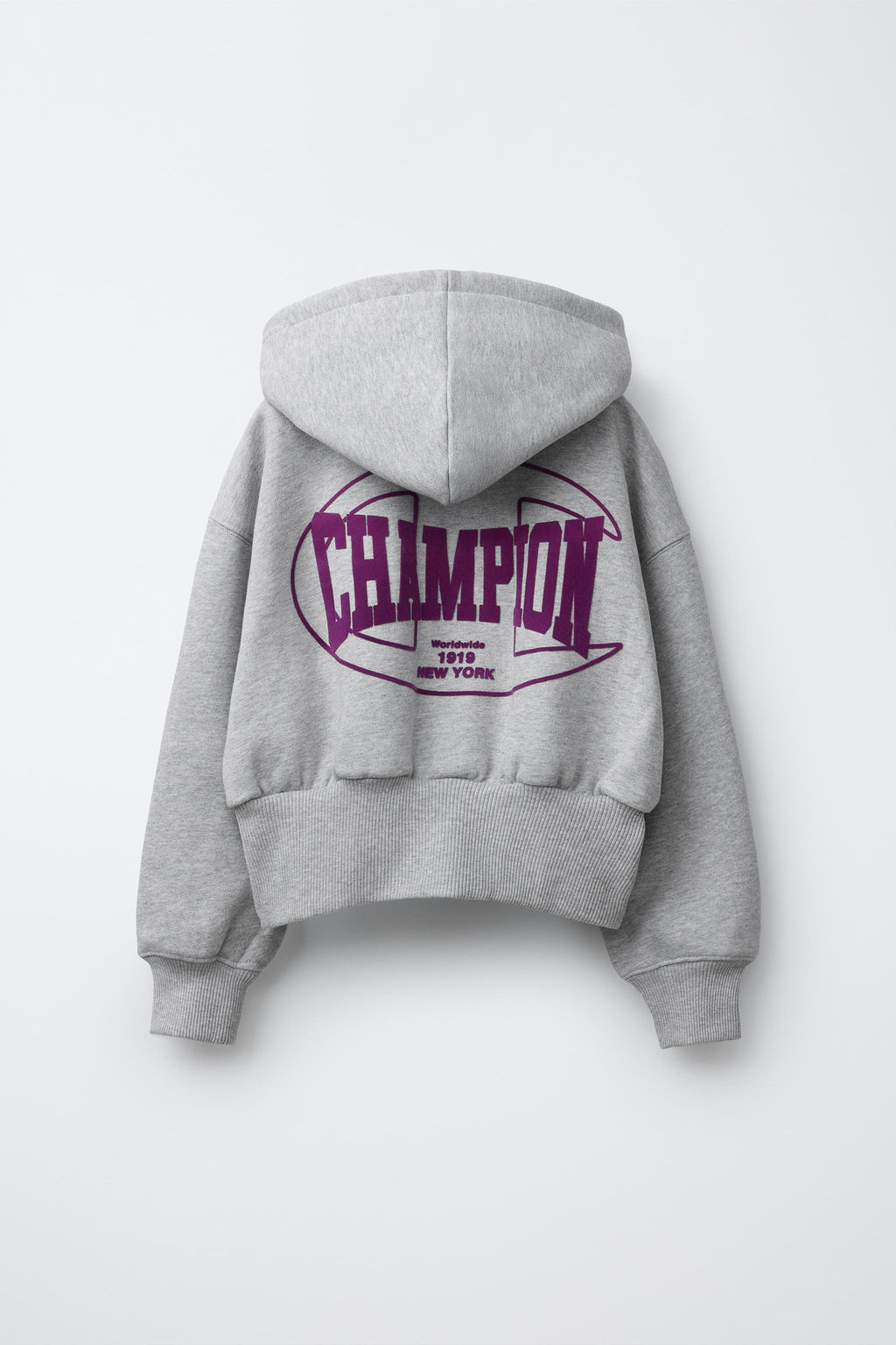 CHAMPION ® X ZARA FLOCK TEXT ZIP-UP HOODIE  фото 2