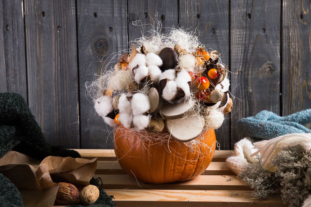 Искусственное растение Blumentag CTW-01 Веточка декоративная хлопок 20 см 5 х 3 шт. 01  фото 5