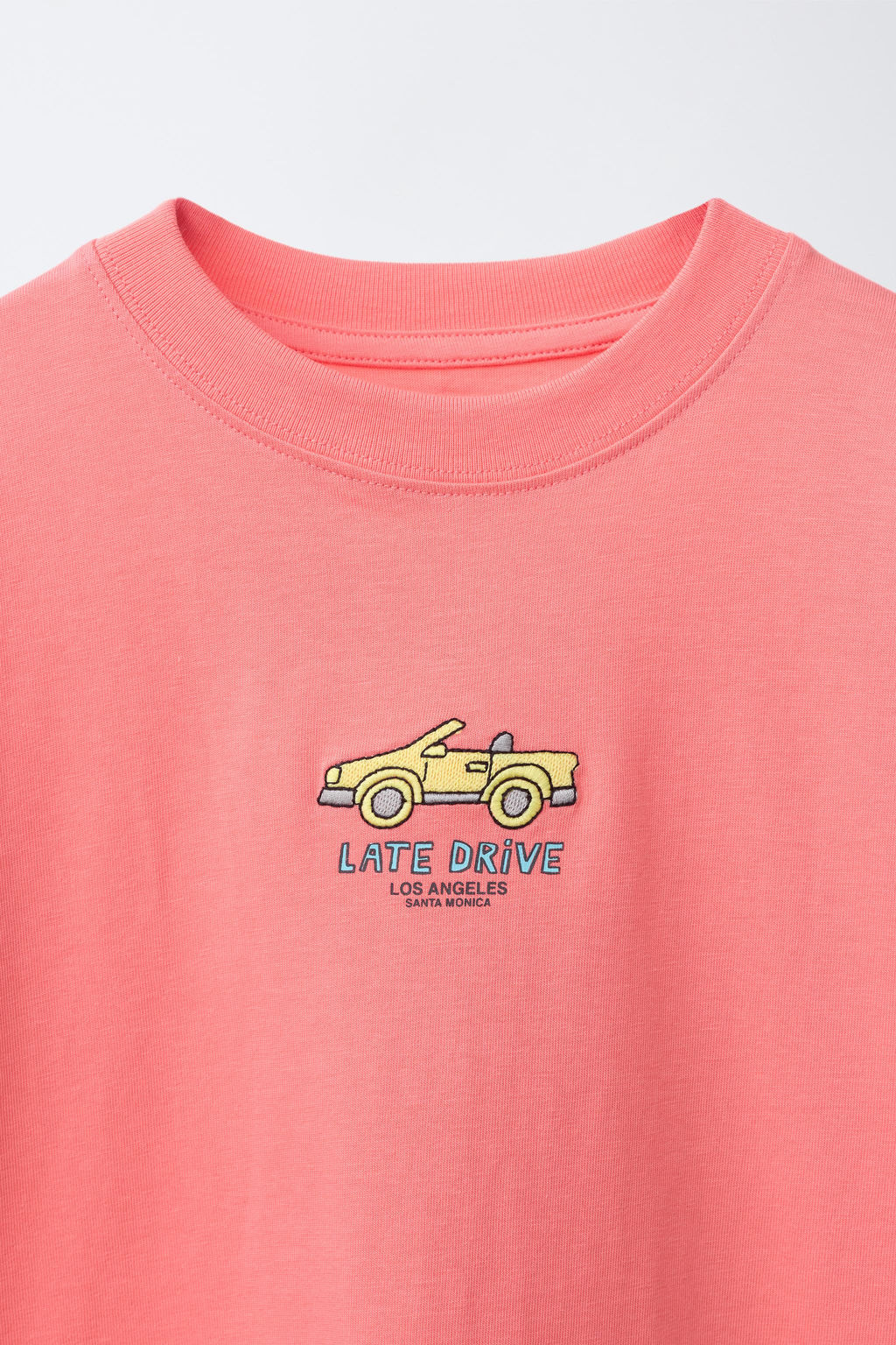 CAMISETA BORDADO / Salm?n