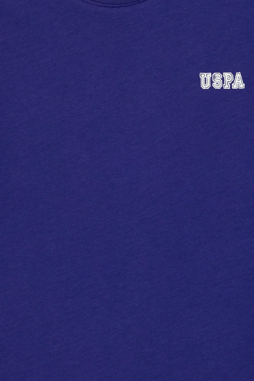 Фиолетовая футболка для мальчика Неожиданная скидка в корзине - U.s. polo assn фото 3