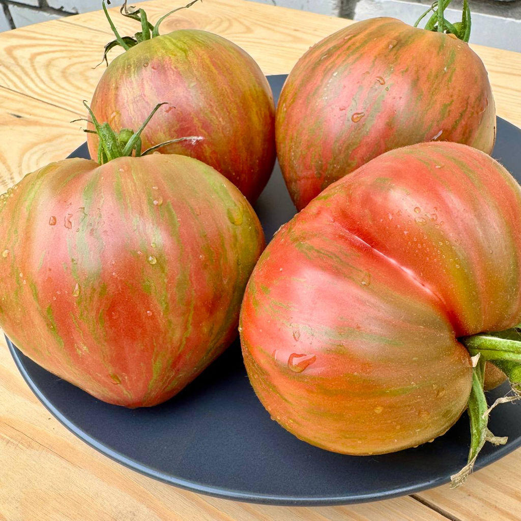 Фиолетовая красавица НОВИНКА 2025 года!