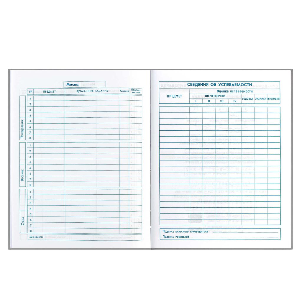Дневник школьный 1-4 класс арт. 60069 РОБОТ НА СКЕЙТЕ - Феникс+ фото 10