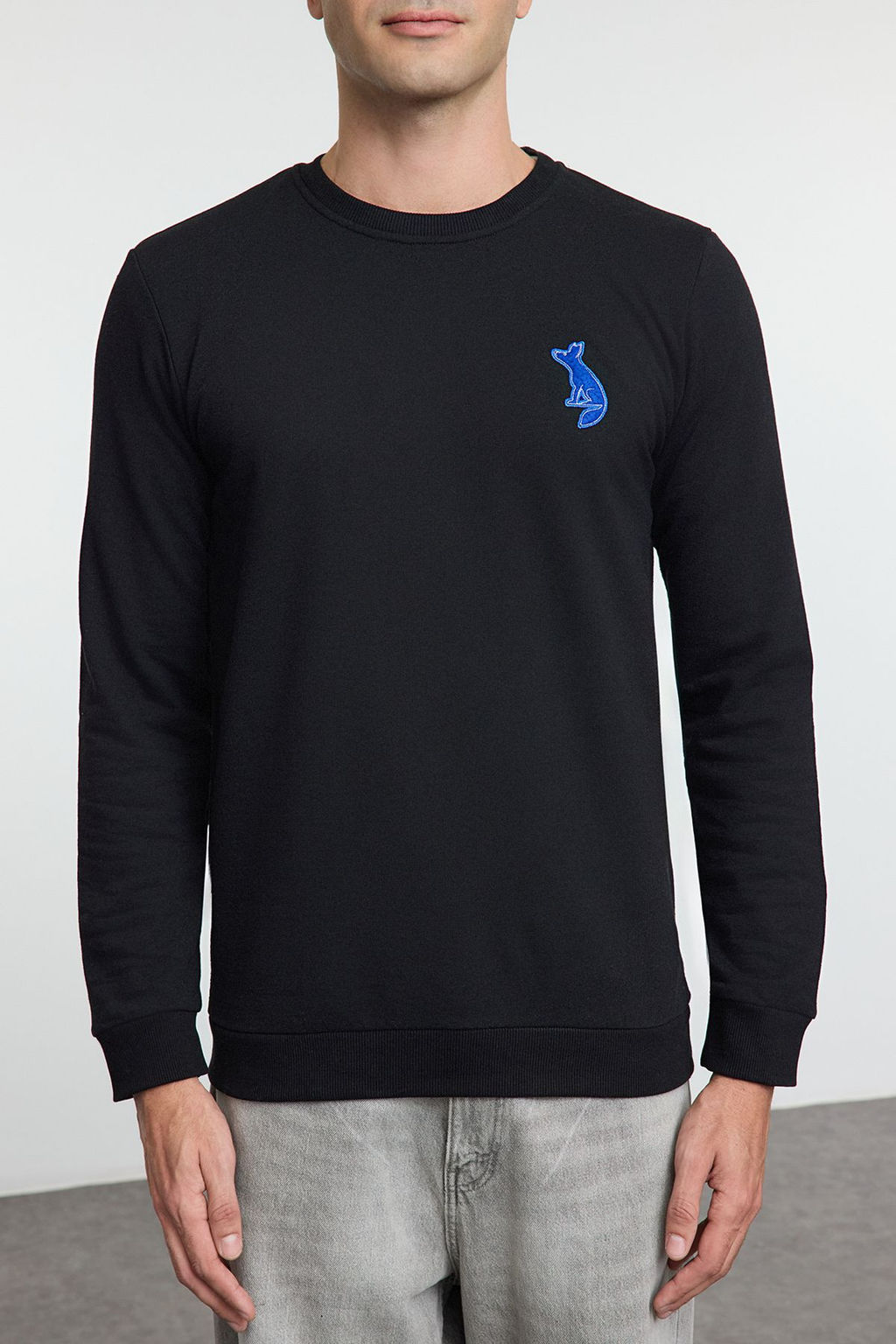 Siyah Regular/Normal Kesim Bisiklet Yaka Tilki Patch Detayl? Sweatshirt TMNAW25SW00160