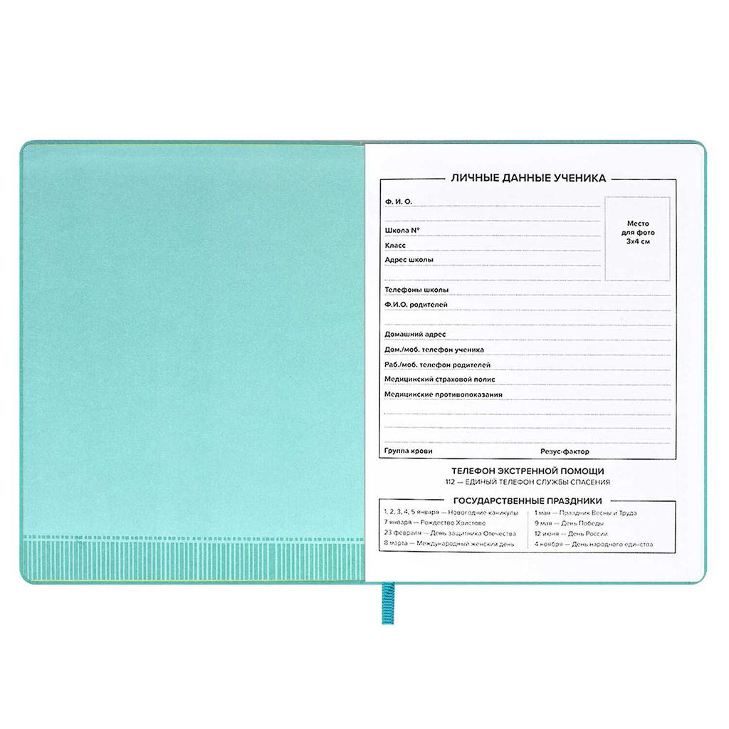 Дневник школьный арт. 58831 / 15 КОТ - Феникс+ фото 5