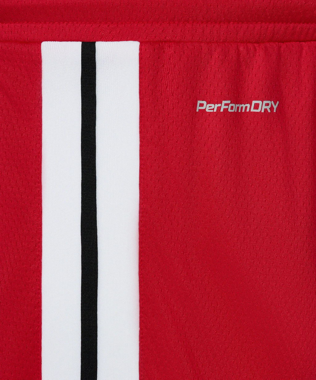 Шорты баскетбольные JOGEL DIVISION PerFormDRY Shorts R2, красный  фото 5