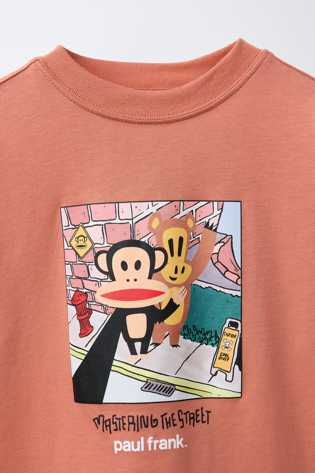CAMISETA ESTAMPADA PAUL FRANK / Caldero - Zara фото 4
