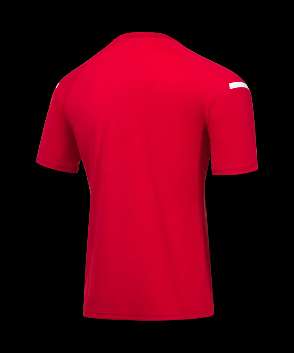 Футболка тренировочная JOGEL CAMP 2 Training Poly Tee, красный  фото 3