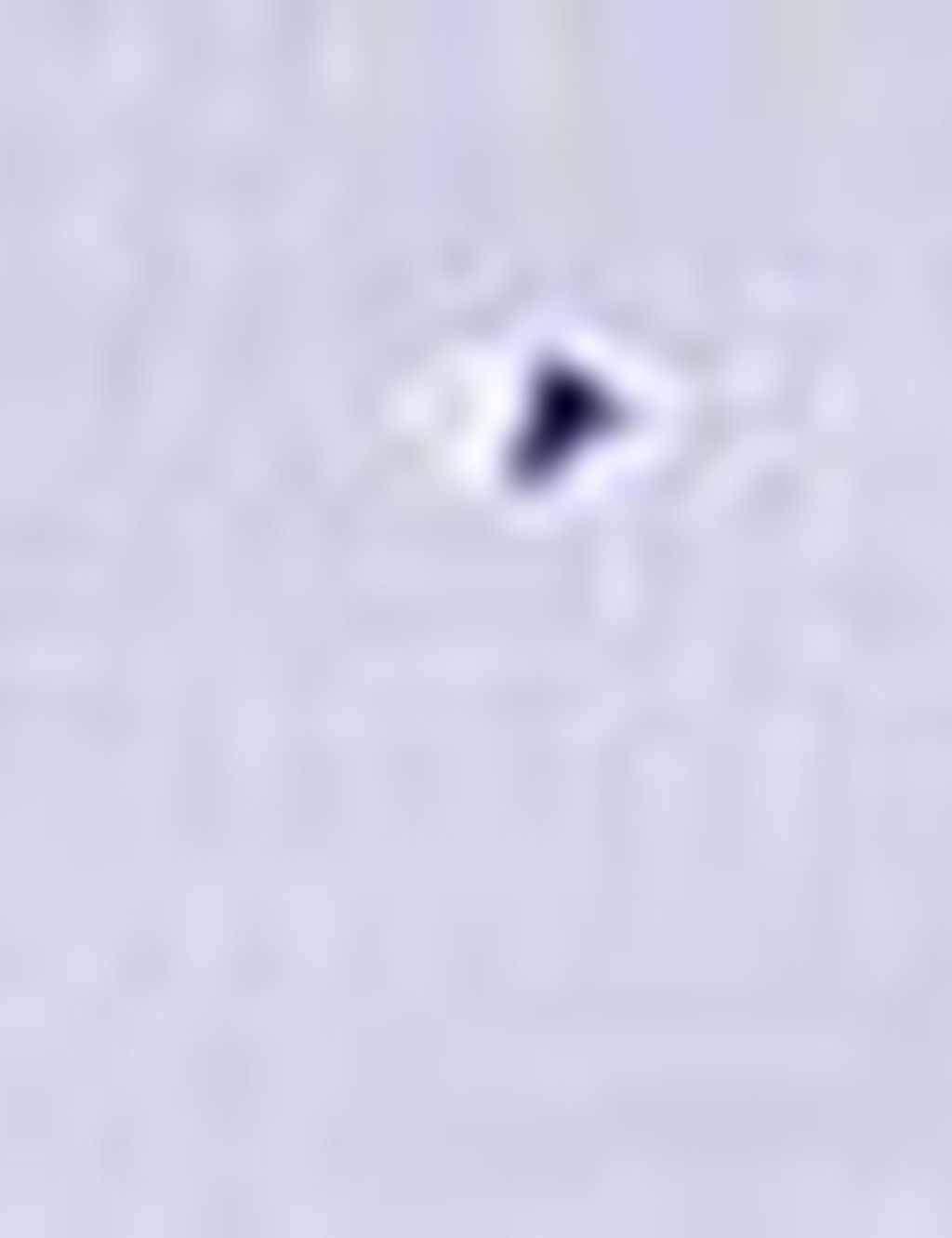 Синяя зауженная рубашка с длинным рукавом - Cacharel фото 10