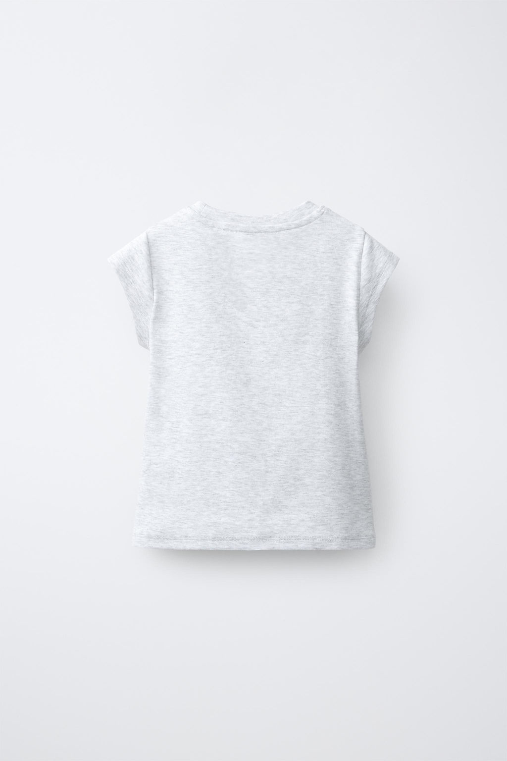 CAMISETA ESTAMPADO ANIMAL / Gris vigor?