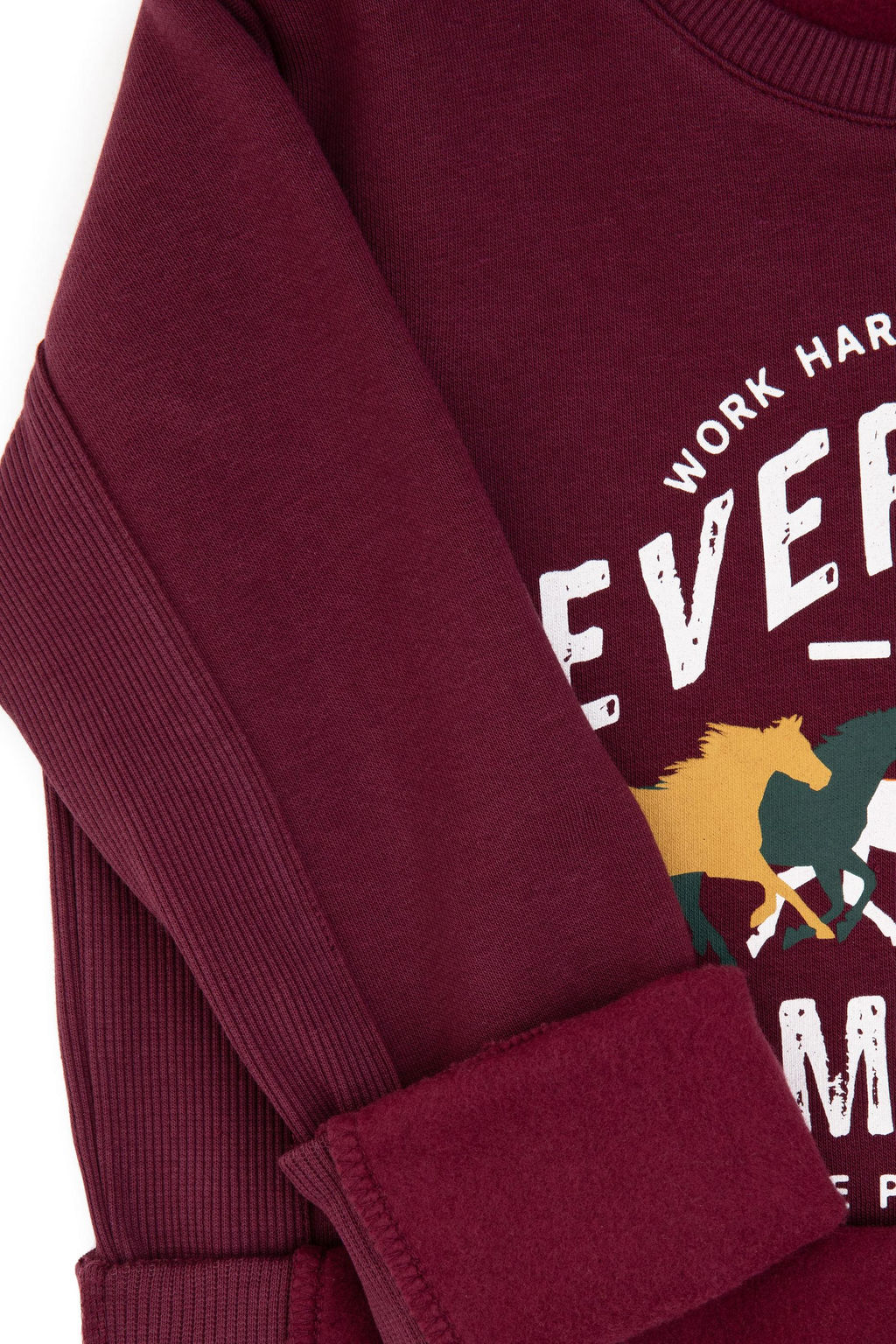 Erkek _ocuk Bordo Bisiklet Yaka Sweatshirt - U.s. polo assn фото 3