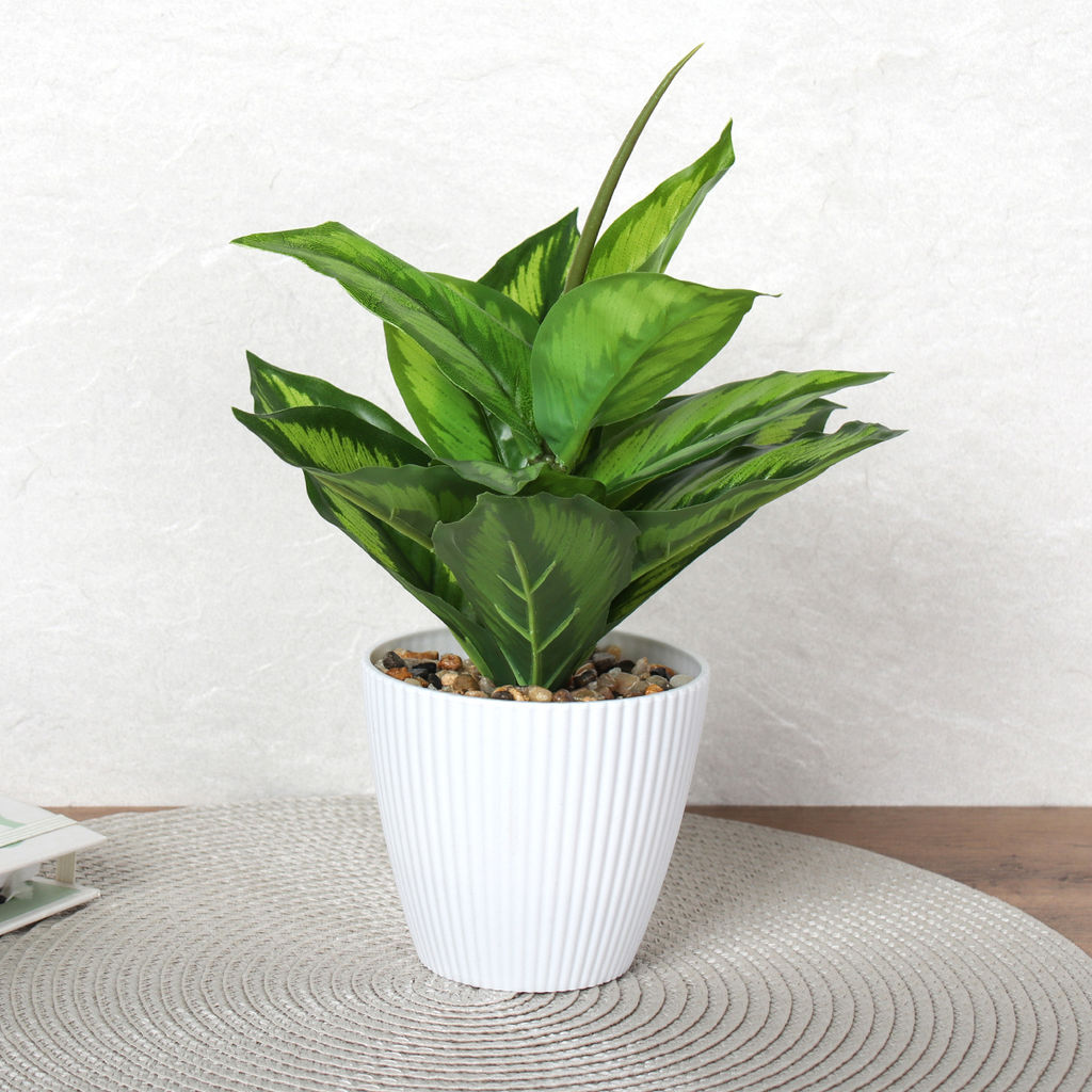 Цветочная композиция Диффенбахия 26 см / 9090-12 /уп 12/96/ - Галеонтрейд фото 16