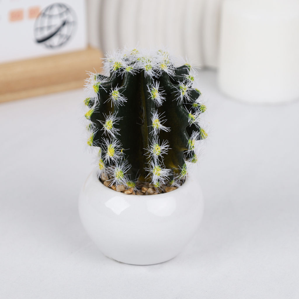 Цветочная композиция Кактус / WER-10 /уп 12/192/ микс