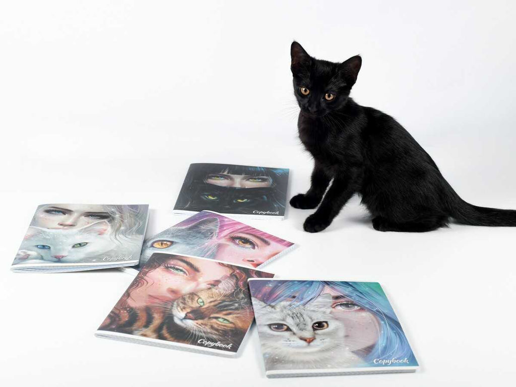 Цена за 10 шт. Тетрадь, 48 л, клетка, арт. 64269/ 10 ЗЕРКАЛО ДУШИ