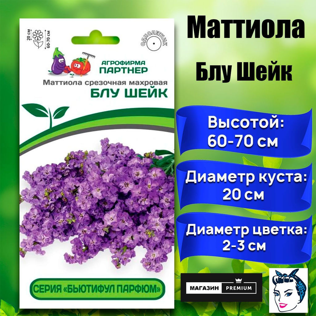3322P Маттиола срезочная махровая "Бьютифул Парфюм" БЛУ ШЕЙК 10шт