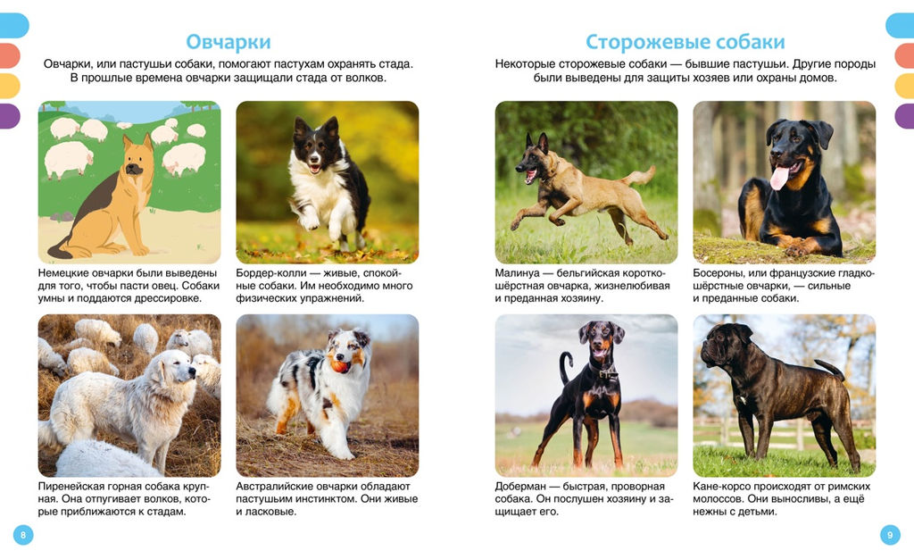 Любимые питомцы. Рени П. - Махаон фото 4