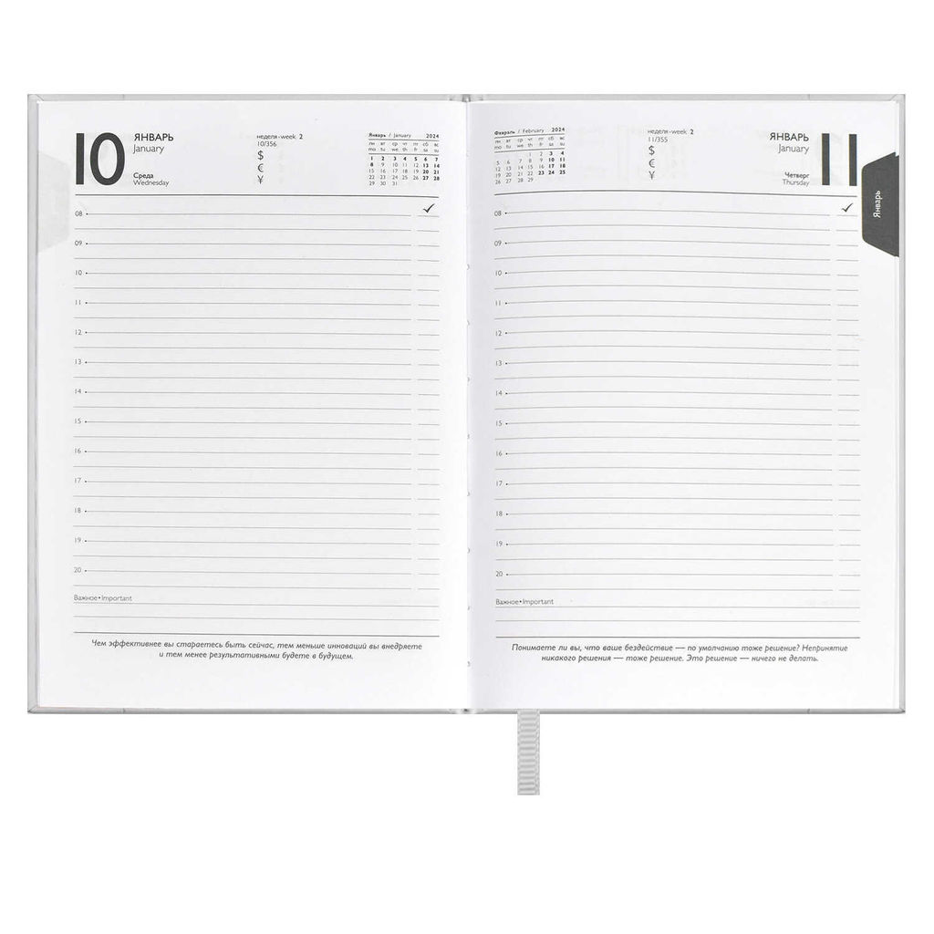 Ежедневник датированный 2024 ESCALADA, А6+, 176 л., арт. 63797/ 20 ПЛОНЖЕ МЕТАЛЛИК СЕРЕБРЯНЫЙ  фото 9
