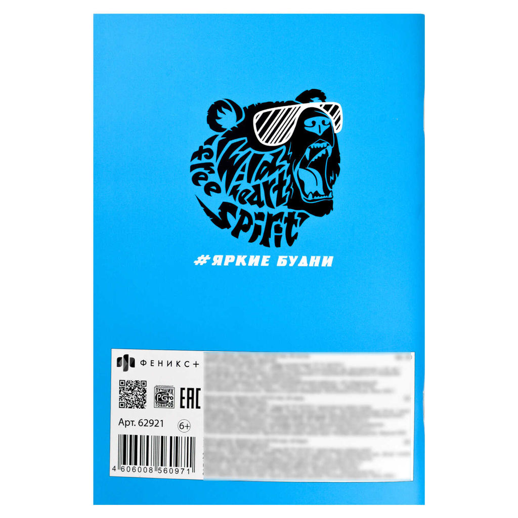 Тетрадь, 48 л, дизайнерский блок(клетка), арт. 62921/ 0 ДУХ СВОБОДЫ - Феникс+ фото 5