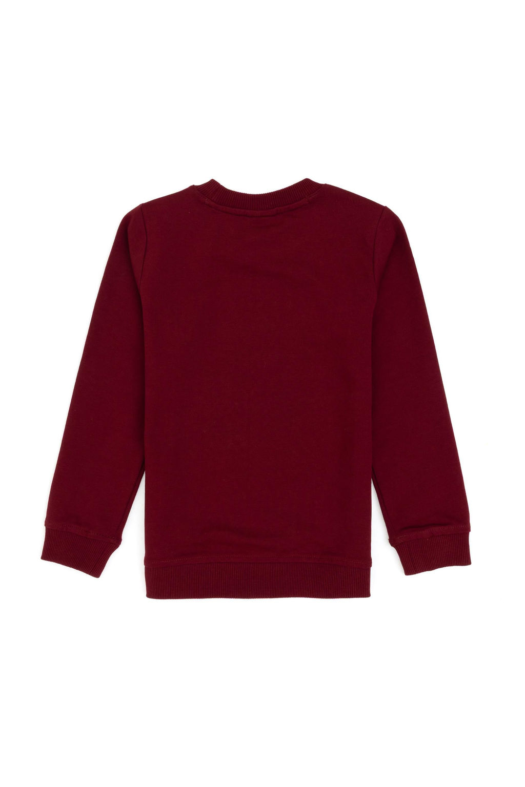 Erkek _ocuk Bordo Bisiklet Yaka _nce Bisiklet Yaka Sweatshirt - U.s. polo assn фото 2