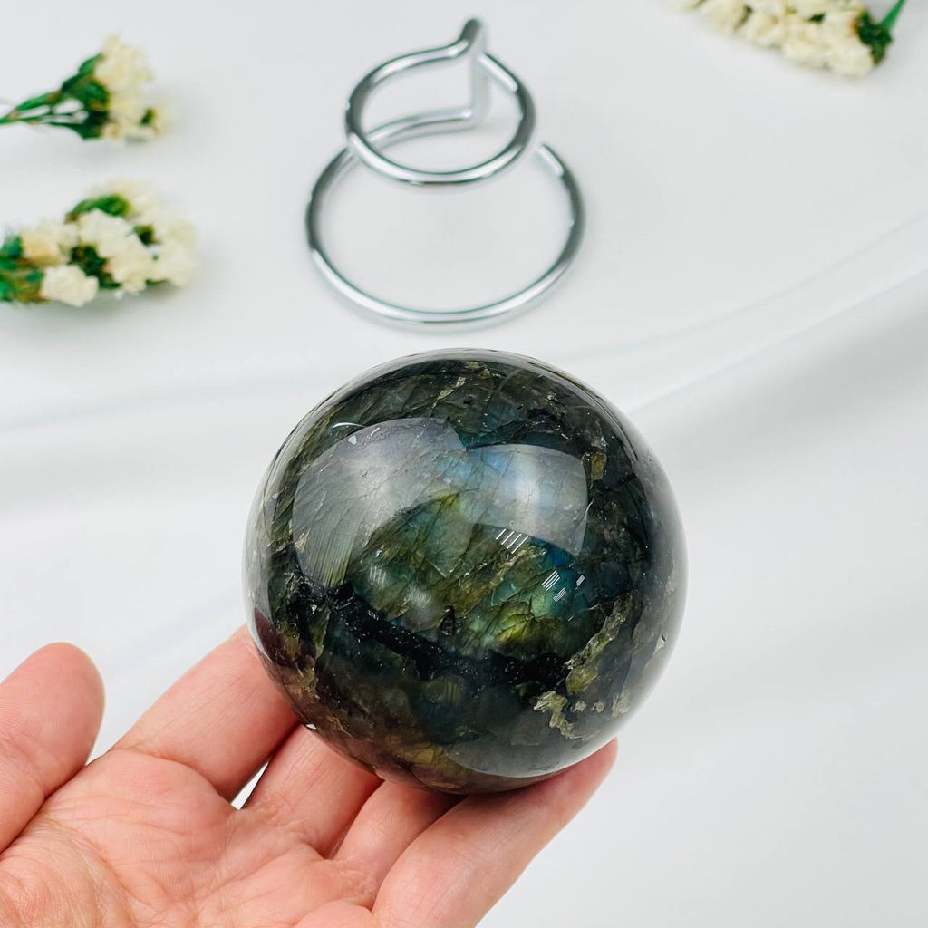 Шар из Лабрадора на подставке