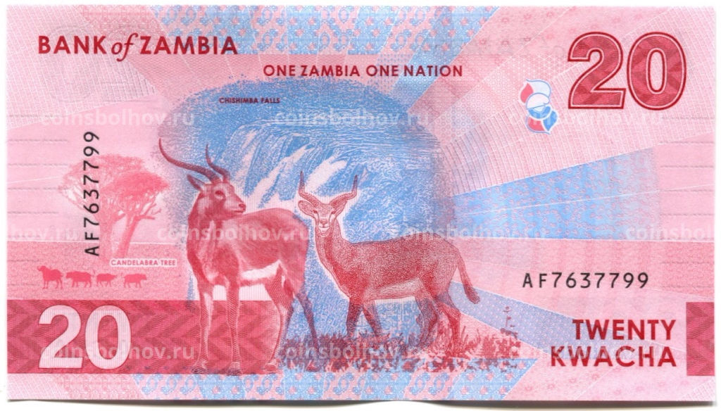 Банкнота 20 квача 2024 года Замбия