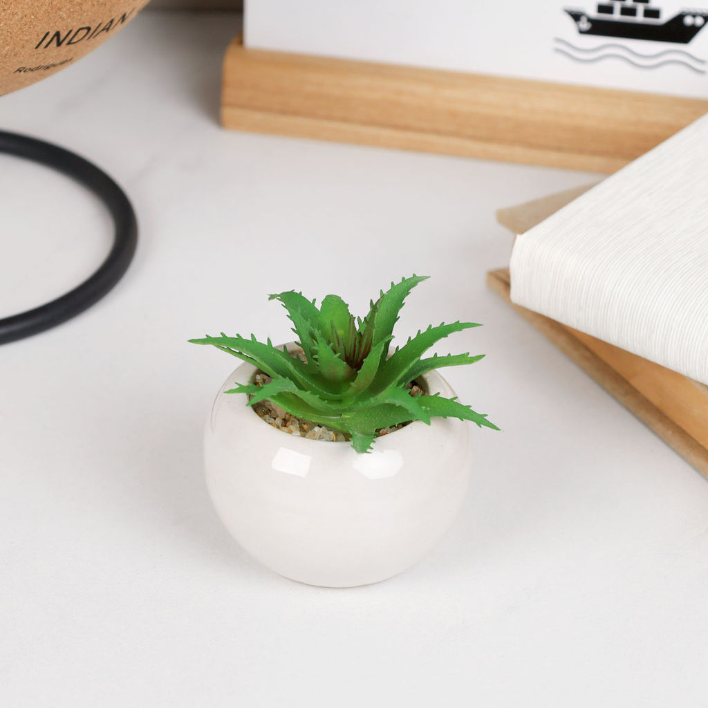 Цветочная композиция Кактус / FA2889 /уп 12/192/