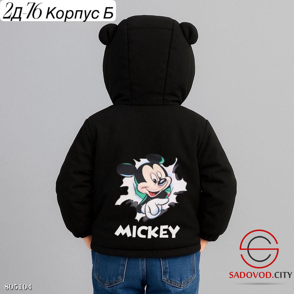 Куртка для мальчика с рисунком