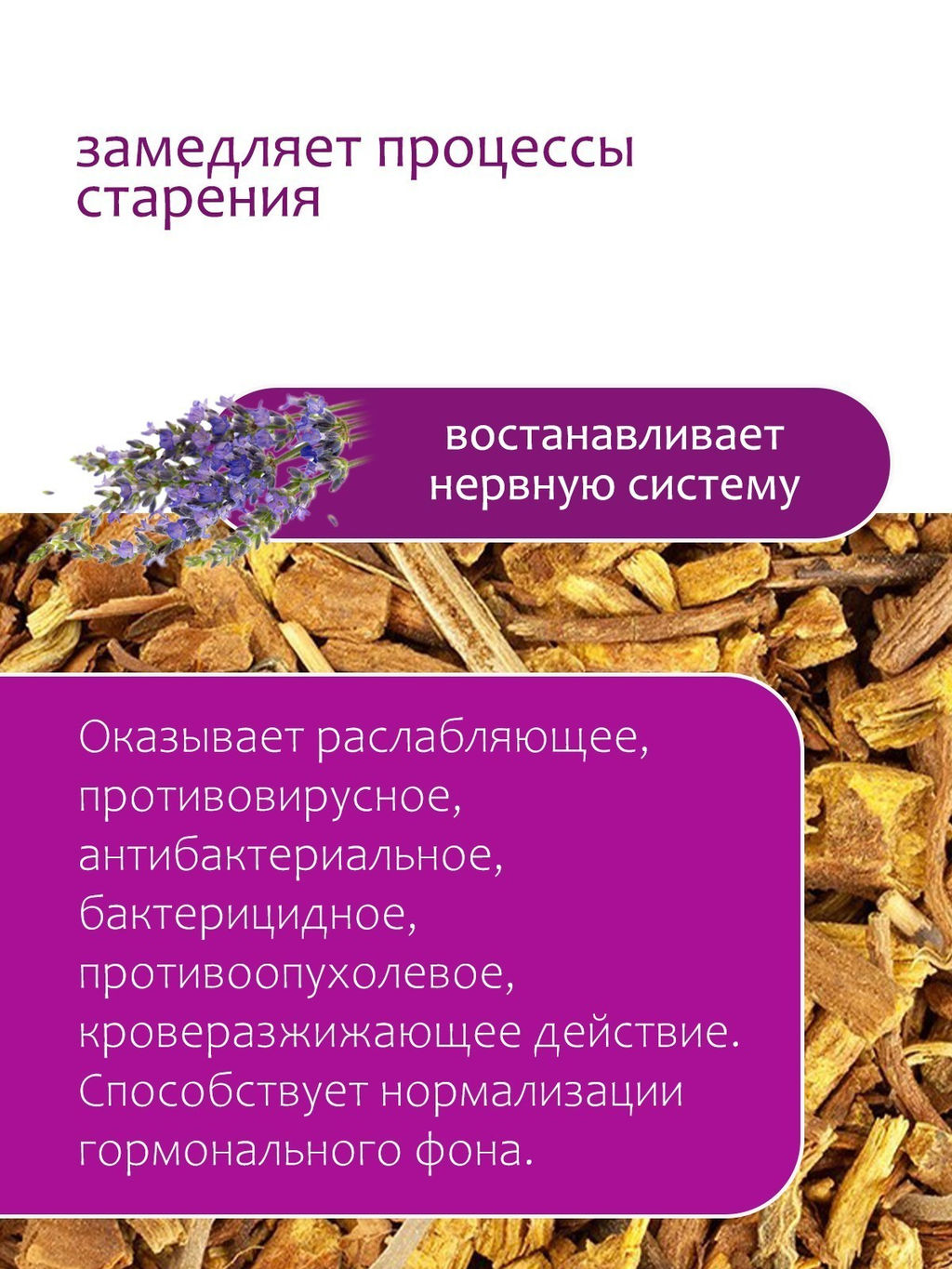 Шлемник байкальский - Травы горного крыма фото 7