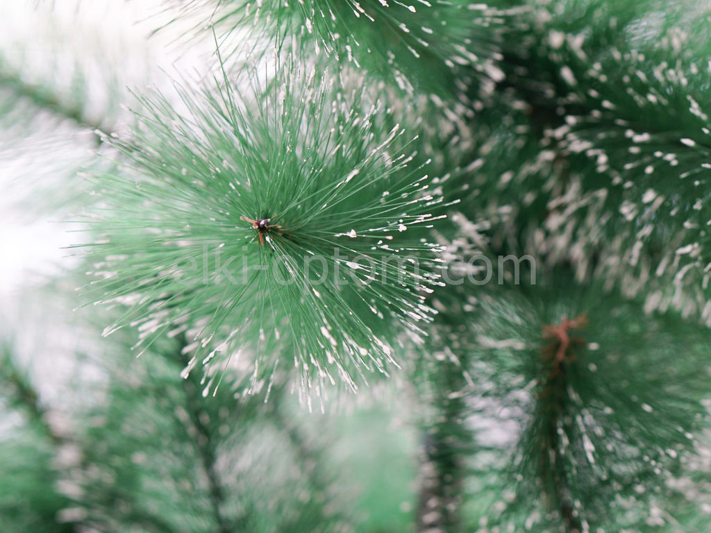 Сосна пушистая с инеем и шишками сборная 150 см - Ип лебедев о.ю фото 4