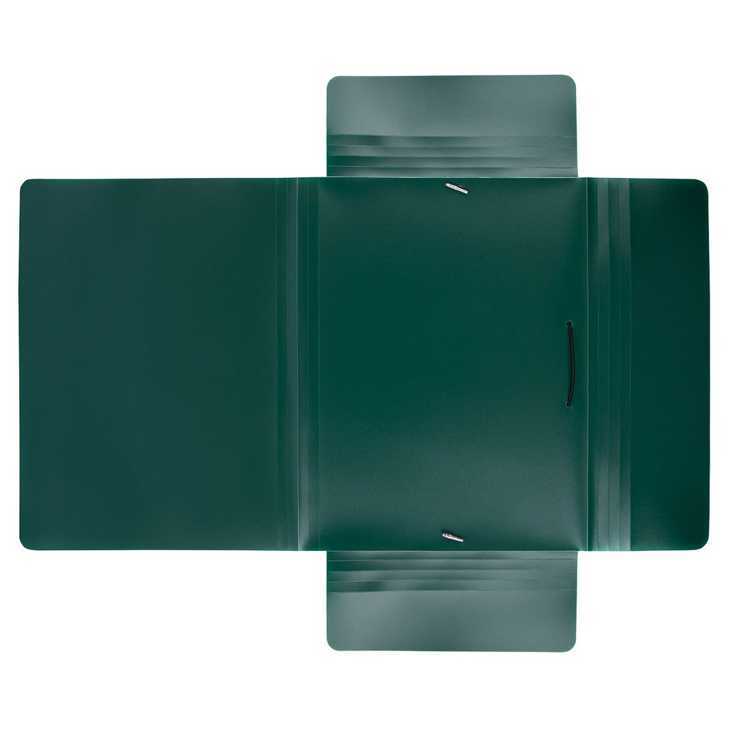 Expert Complete PRISMA Папка на резинке A4 600 мкм 35 мм эффект 3D 5 шт. изумрудный EC210400010