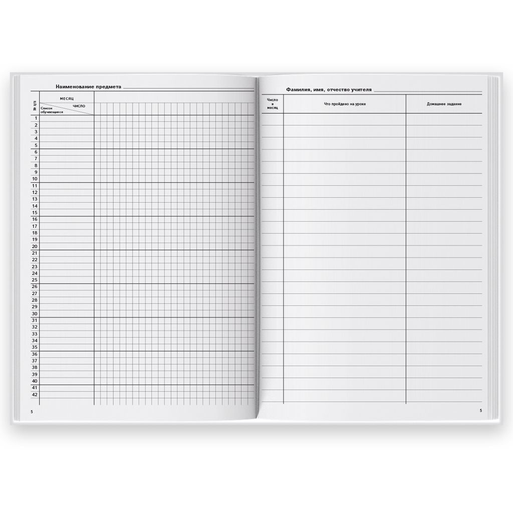 Классный журнал 10-11 класс арт. 5193 - Феникс+ фото 2