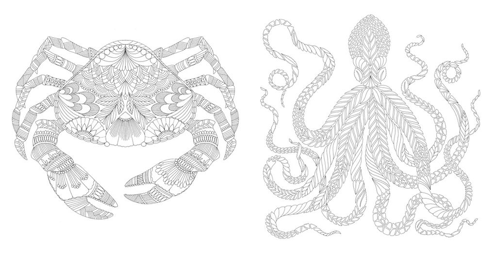 Чудеса природы. Золотая коллекция любимых иллюстраций (тв.обл.). Маротта М. - Колибри фото 6