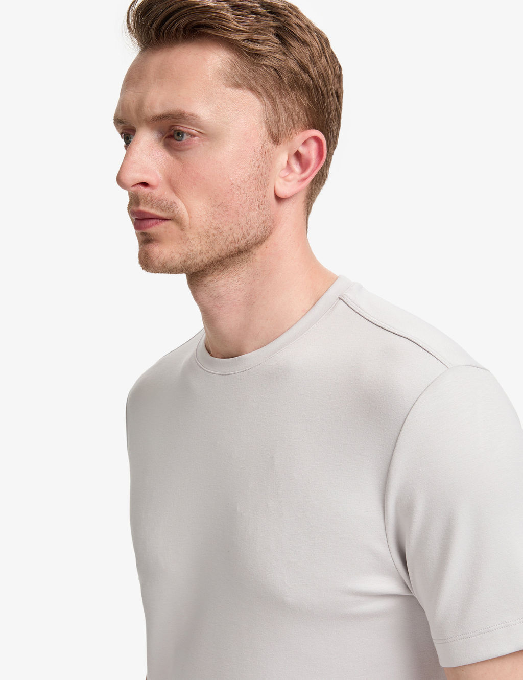 A__k Gri Regular Fit Bisiklet Yaka Basic Ti__rt
