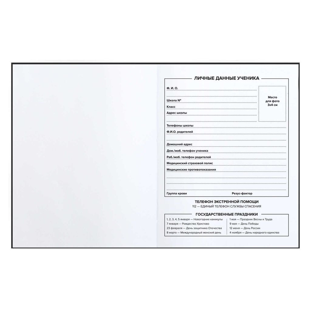 Дневник школьный арт. 60202 ЗАКАТ - Феникс+ фото 5