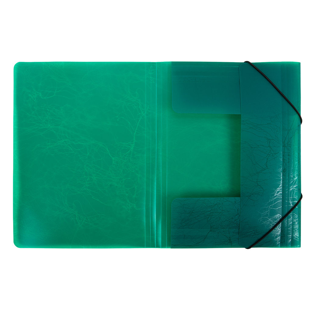 Expert Complete Premier Папка на резинке A4 600 мкм 35 мм волокно 5 шт. зеленый new EC21043003