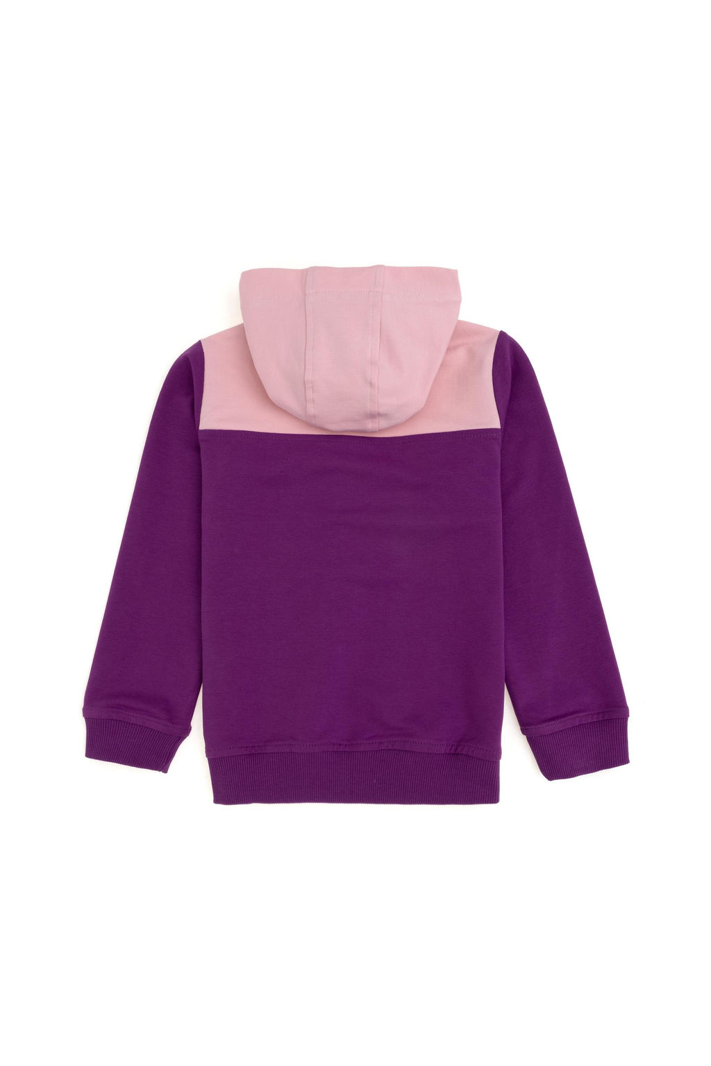 K_z _ocuk Menek_e Kap__onlu Sweatshirt Sepette S_rpriz _ndirim - U.s. polo assn фото 4