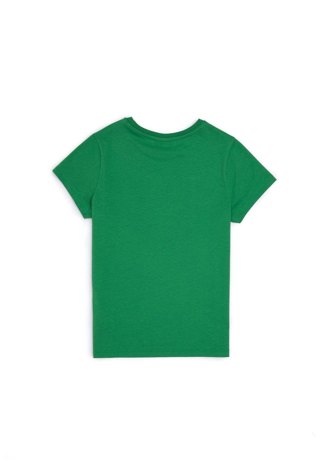 U. S. Polo Assn / Зеленая футболка с круглым вырезом для мальчиков - U.s. polo assn фото 4