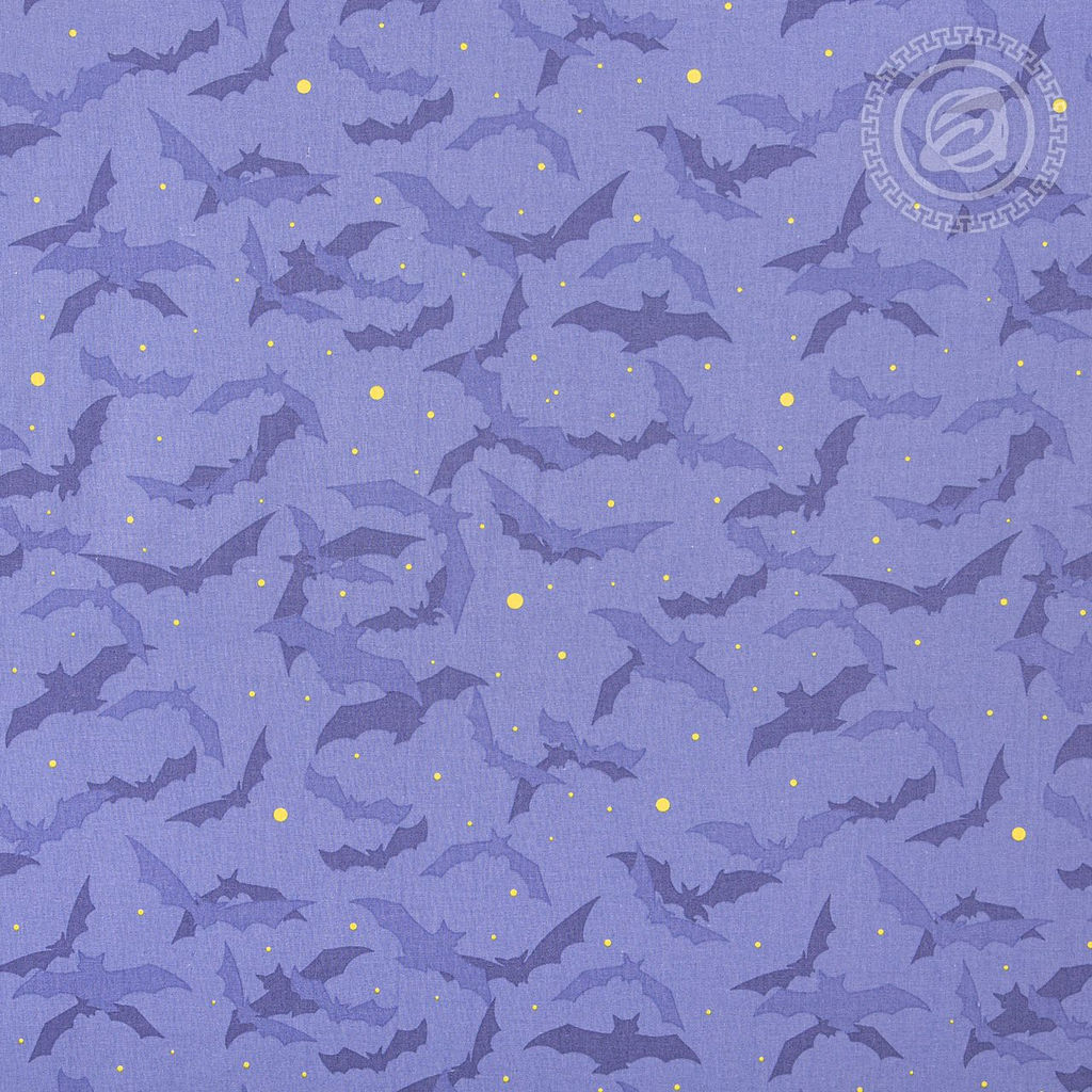 Постельное белье Академия (поплин детский) 1,5 сп./Пододеяльник: 1 шт. - 215*145; Простыня: 1 шт. - 214*150; Наволочка: 2 шт. - 70*70; Поплин детский