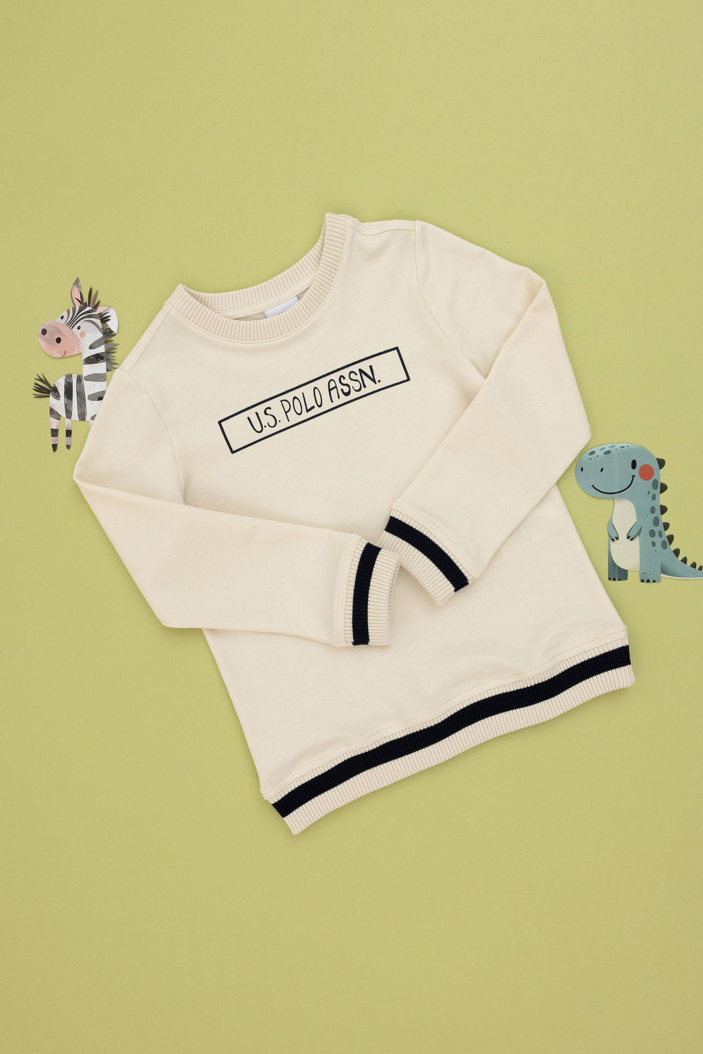 Кремовый базовый свитшот для мальчика Неожиданная скидка в корзине