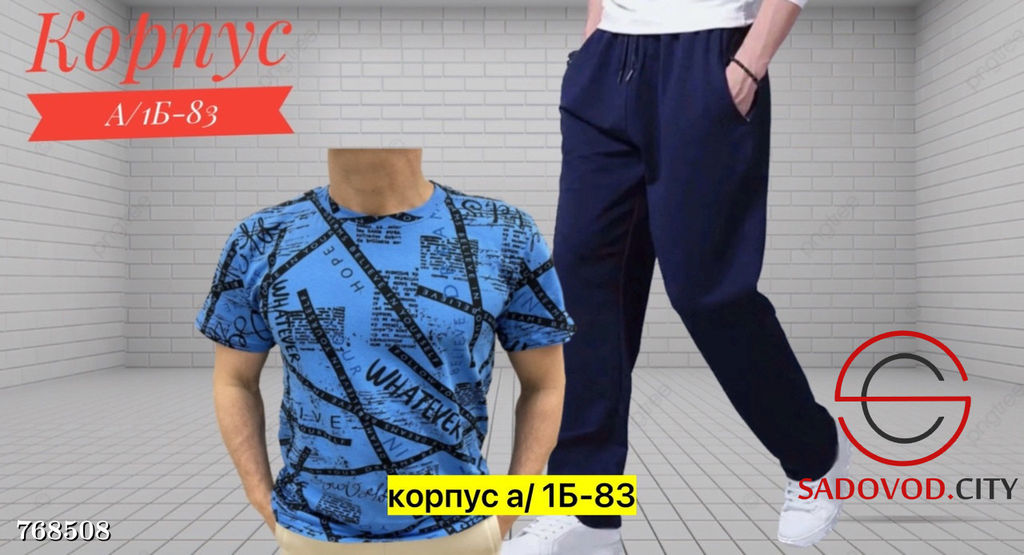 Мужской спортивный костюм двойка