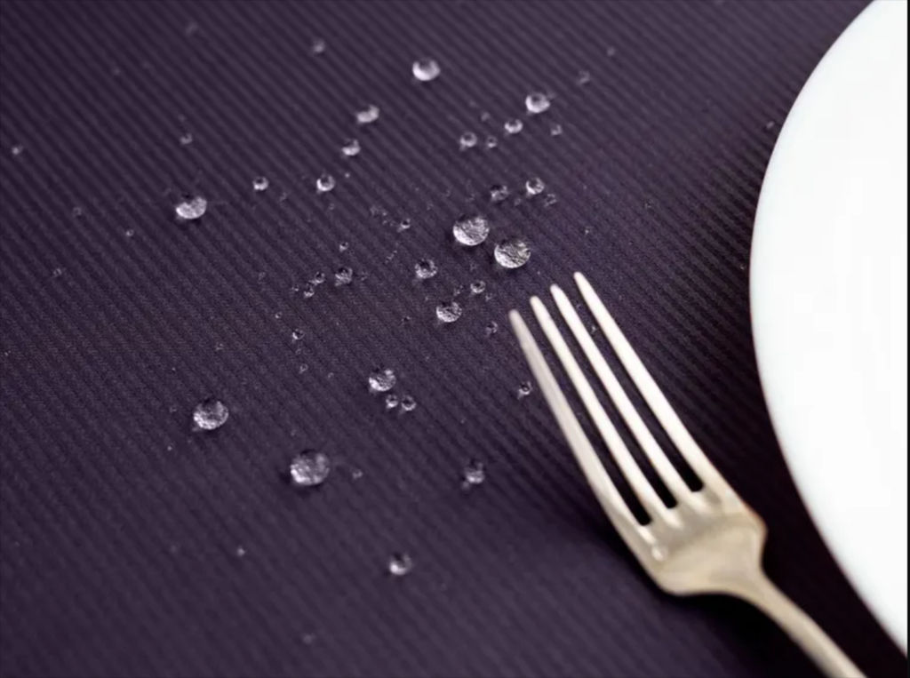 Скатерть Ж300-24/193622П 300x150