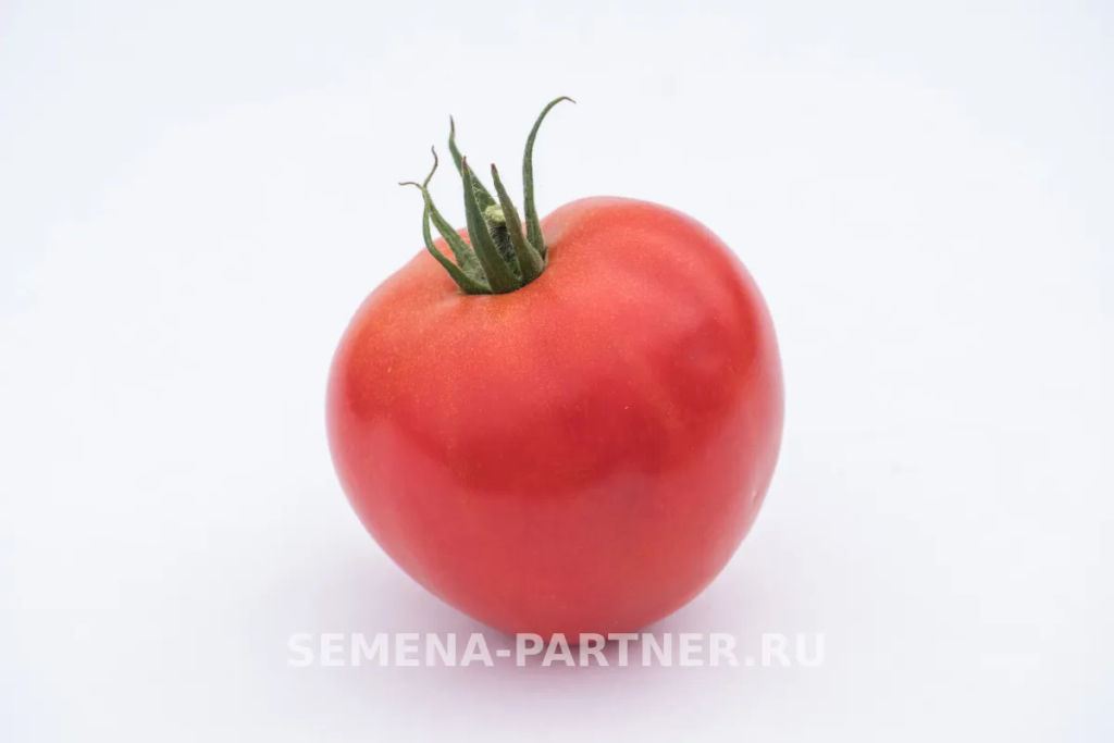 Томат Деметра - Партнер фото 3
