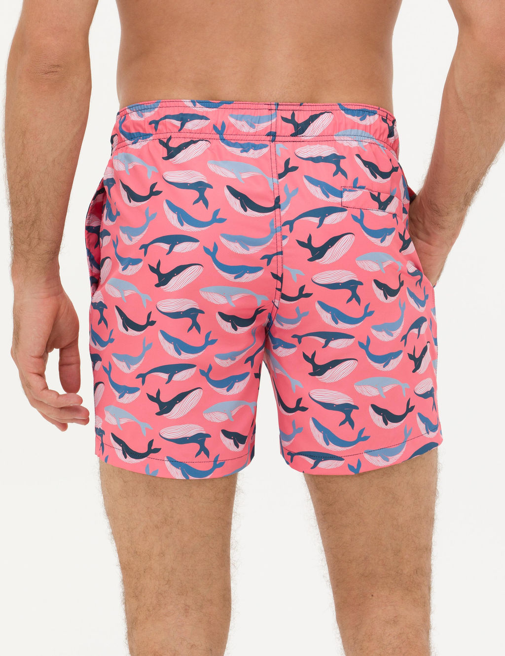 Pembe Deniz _ortu