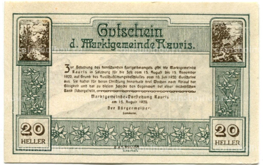 Банкнота 20 геллеров 1920 года Австрия Рейс (нотгельд)