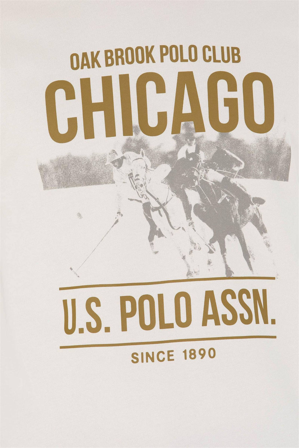 U. S. Polo Assn / Мужская толстовка с камнем - U.s. polo assn фото 7